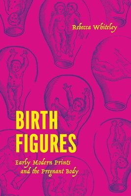 bokomslag Birth Figures