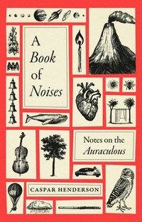 bokomslag A Book of Noises