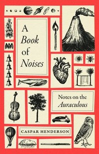 bokomslag A Book of Noises: Notes on the Auraculous