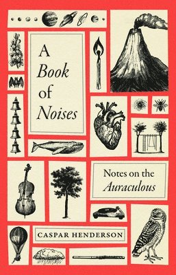 Caspar Henderson - Book of Noises, Inbunden