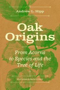 bokomslag Oak Origins