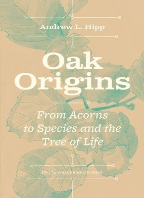 bokomslag Oak Origins