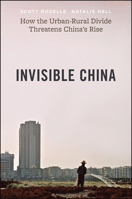 bokomslag Invisible China