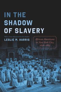 bokomslag In the Shadow of Slavery