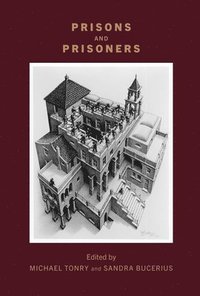bokomslag Crime and Justice, Volume 51