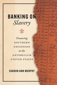 bokomslag Banking on Slavery