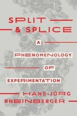 Hans-Jörg Rheinberger - Split and Splice, Häftad