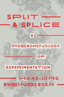 Split and Splice 1