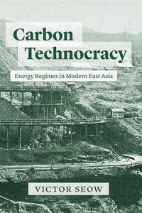 bokomslag Carbon Technocracy