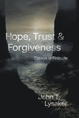 John T. Lysaker - Hope, Trust, and Forgiveness, Häftad