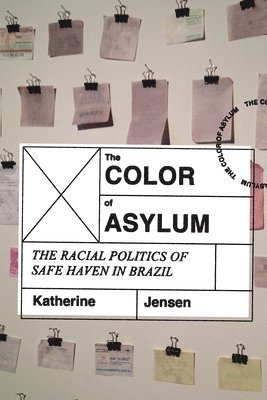 bokomslag Color of Asylum
