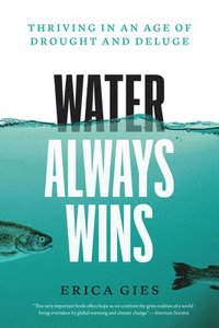 bokomslag Water Always Wins