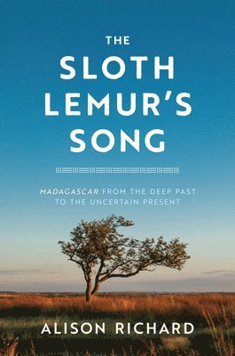 bokomslag The Sloth Lemur's Song
