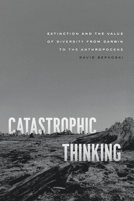 David Sepkoski - Catastrophic Thinking, Häftad