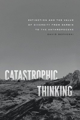 Catastrophic Thinking 1