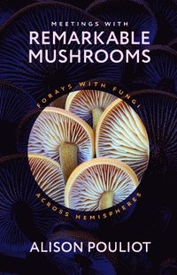 bokomslag Meetings with Remarkable Mushrooms