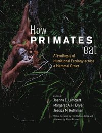 bokomslag How Primates Eat