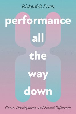 Richard O. Prum - Performance All the Way Down, Häftad