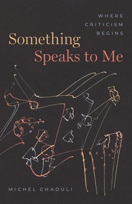Michel Chaouli - Something Speaks to Me, Inbunden