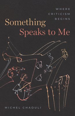 Michel Chaouli - Something Speaks to Me, Häftad