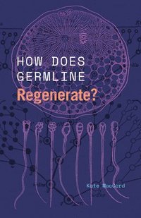 bokomslag How Does Germline Regenerate?