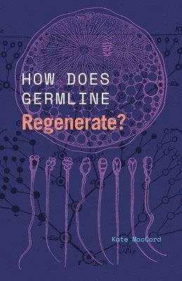 Kate MacCord - How Does Germline Regenerate?, Häftad