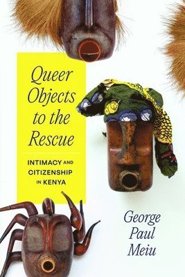 George Paul Meiu - Queer Objects to the Rescue, Inbunden