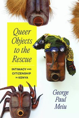 bokomslag Queer Objects to the Rescue