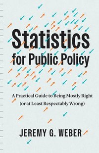bokomslag Statistics for Public Policy