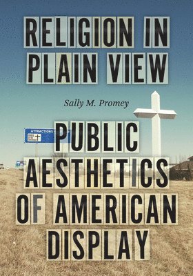 Sally M. Promey - Religion in Plain View, Inbunden