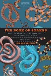 bokomslag The Book of Snakes