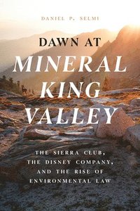 bokomslag Dawn at Mineral King Valley