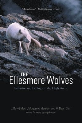 Ellesmere Wolves