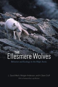 bokomslag The Ellesmere Wolves: Behavior and Ecology in the High Arctic