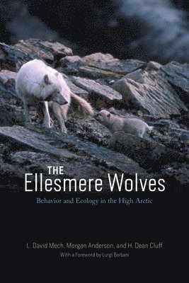 The Ellesmere Wolves 1