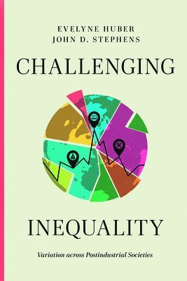 bokomslag Challenging Inequality