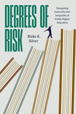 bokomslag Degrees of Risk