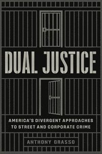bokomslag Dual Justice