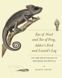 bokomslag Eye of Newt and Toe of Frog, Adder's Fork and Lizard's Leg: The Lore and Mythology of Amphibians and Reptiles