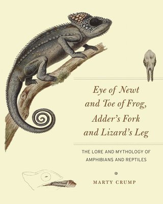 Eye of Newt and Toe of Frog, Adder's Fork and Lizard's Leg: The Lore and Mythology of Amphibians and Reptiles 1