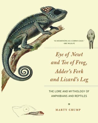 Eye of Newt and Toe of Frog, Adder's Fork and Lizard's Leg: The Lore and Mythology of Amphibians and Reptiles 1