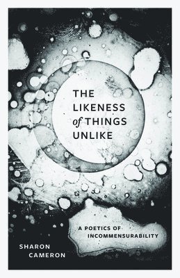 Sharon Cameron - Likeness of Things Unlike, Häftad