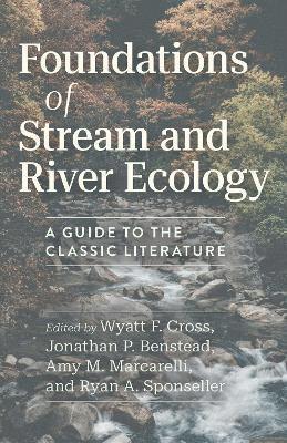 bokomslag Foundations of Stream and River Ecology