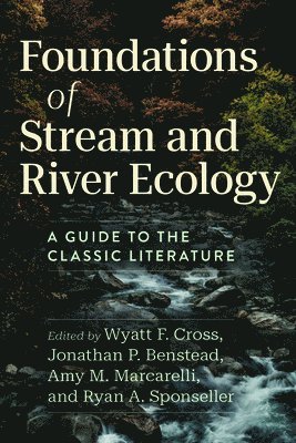 bokomslag Foundations of Stream and River Ecology