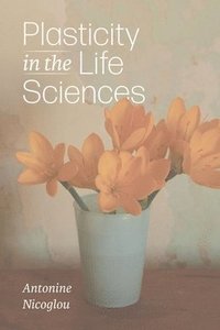 bokomslag Plasticity in the Life Sciences