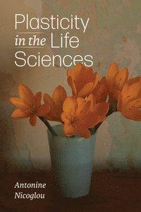 bokomslag Plasticity in the Life Sciences