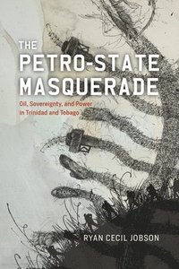 bokomslag The Petro-state Masquerade