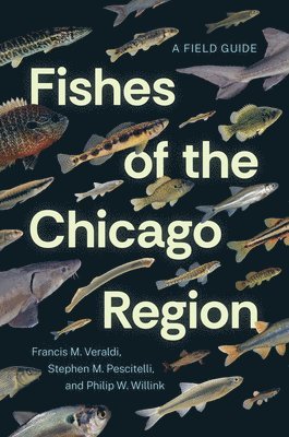 Francis M. Veraldi, Stephen M. Pescitelli, Philip W. Willink, Francis M Veraldi, Stephen M Pescitelli, Philip W Willink - Fishes of the Chicago Region, Häftad