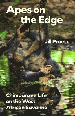 Jill Pruetz - Apes on the Edge, Häftad