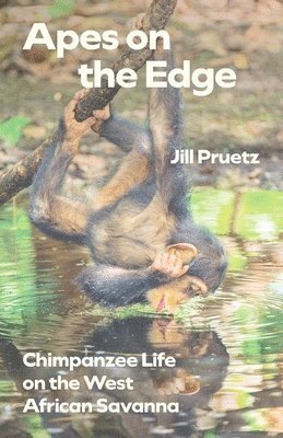Jill Pruetz - Apes on the Edge, Inbunden
